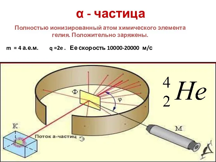 α - частица Полностью ионизированный атом химического элемента гелия. Положительно заряжены. m