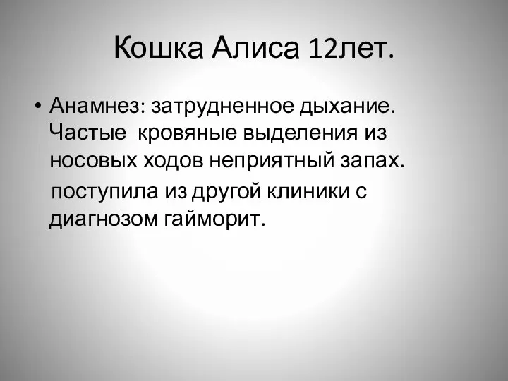 Кошка Алиса 12лет. Анамнез: затрудненное дыхание. Частые кровяные выделения из носовых ходов