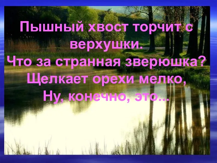 Пышный хвост торчит с верхушки. Что за странная зверюшка? Щелкает орехи мелко, Ну, конечно, это...