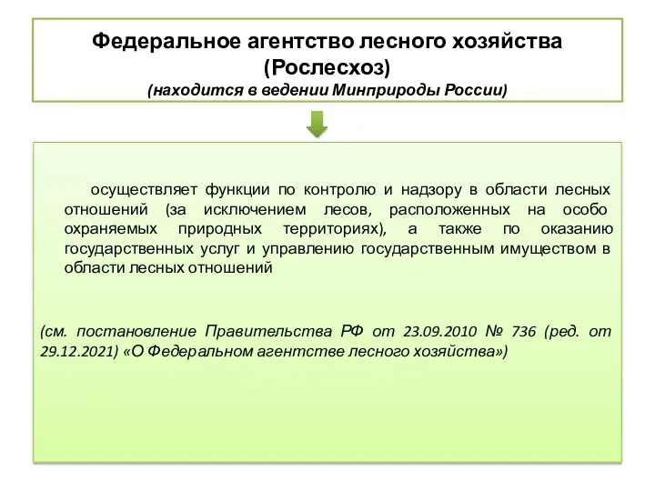 Федеральное агентство лесного хозяйства (Рослесхоз) (находится в ведении Минприроды России) осуществляет функции