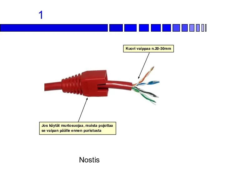 Nostis 1