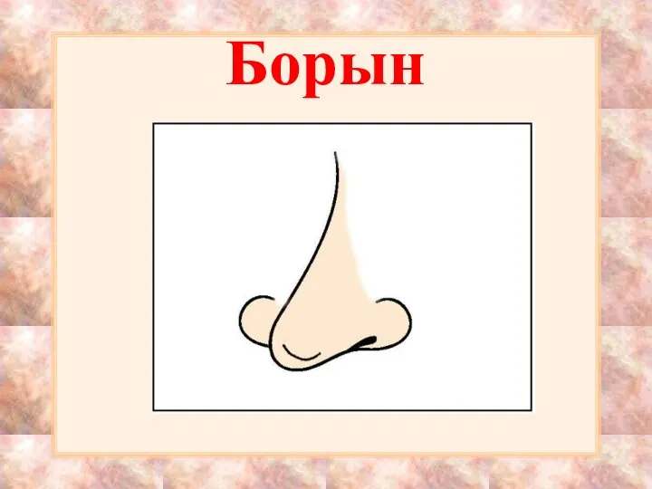 Борын