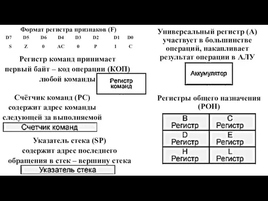 Регистры общего назначения (РОН) Формат регистра признаков (F) Универсальный регистр (А) участвует