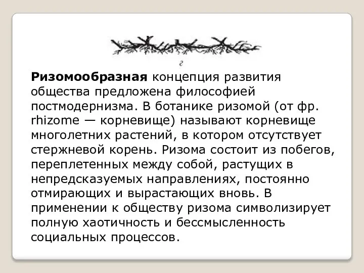 Ризомообразная концепция развития общества предложена философией постмодернизма. В ботанике ризомой (от фр.