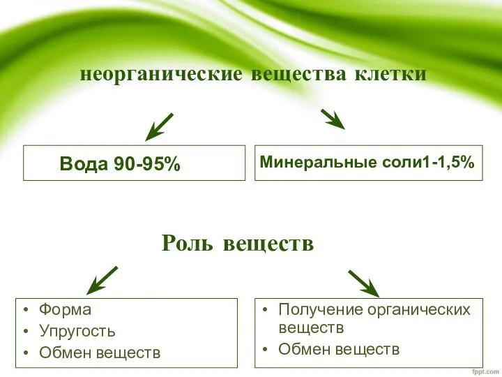 неорганические вещества клетки Форма Упругость Обмен веществ Получение органических веществ Обмен веществ