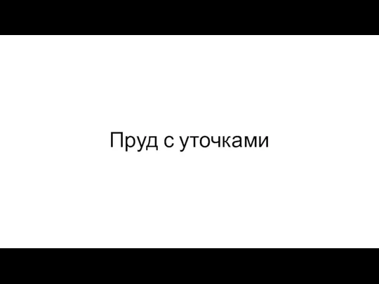 Пруд с уточками