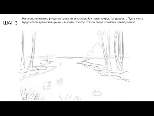 ШАГ 3 На переднем плане рисуется трава типа камышей, и детализируются деревья.