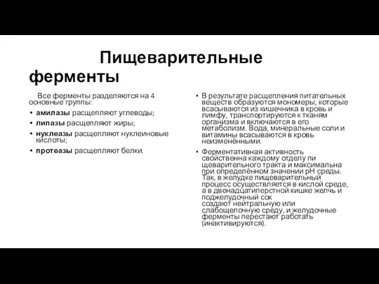 Пищеварительные ферменты Все ферменты разделяются на 4 основные группы: амилазы расщепляют углеводы;