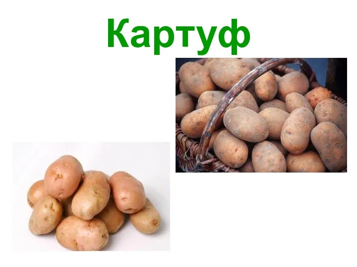 Картуф