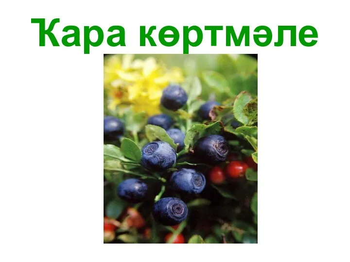 Ҡара көртмәле