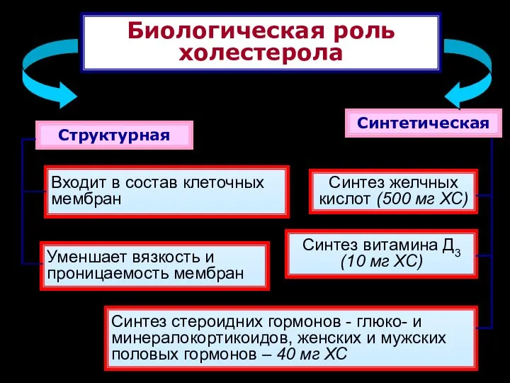 Синтетическая Биологическая роль холестерола Входит в состав клеточных мембран Уменшает вязкость и