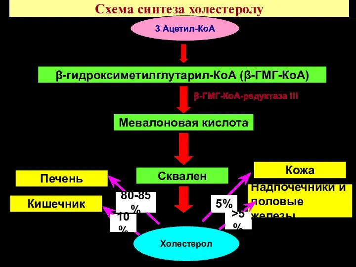 Схема синтеза холестеролу Мевалоновая кислота Холестерол β-ГМГ-КоА-редуктаза !!! Сквален β-гидроксиметилглутарил-КоА (β-ГМГ-КоА) 3