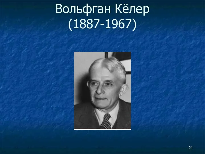 Вольфган Кёлер (1887-1967)