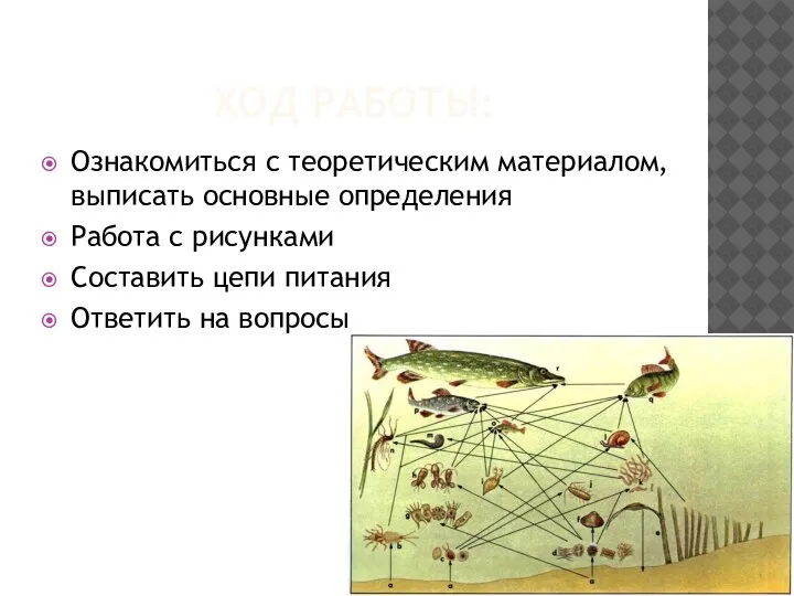 ХОД РАБОТЫ: Ознакомиться с теоретическим материалом, выписать основные определения Работа с рисунками