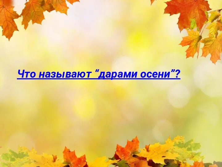 Что называют “дарами осени”?