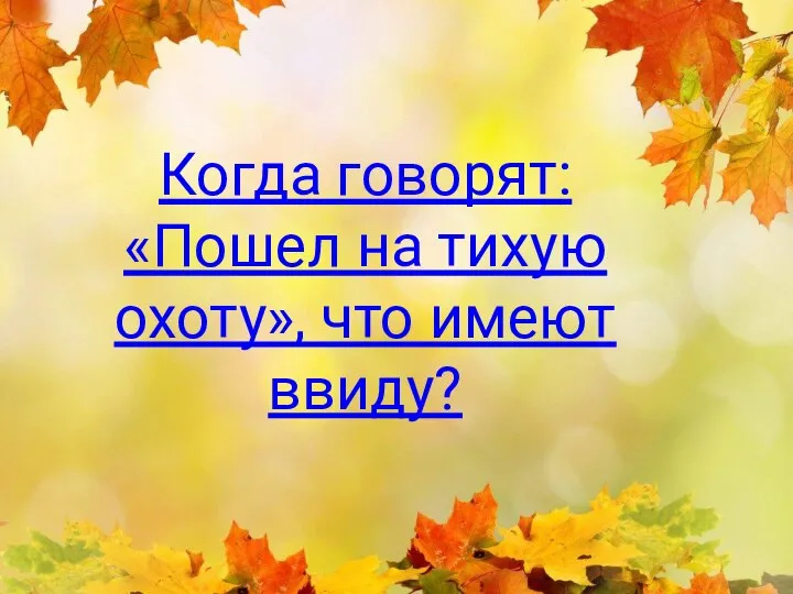 Когда говорят: «Пошел на тихую охоту», что имеют ввиду?