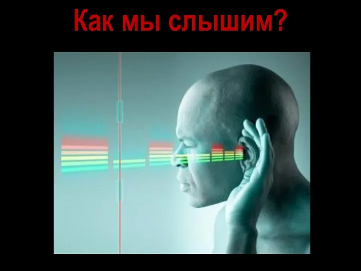 Как мы слышим?