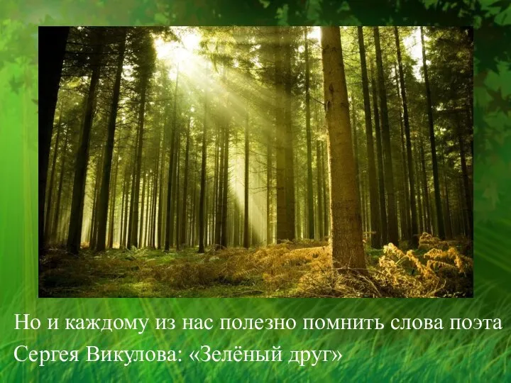 . Но и каждому из нас полезно помнить слова поэта Сергея Викулова: «Зелёный друг»
