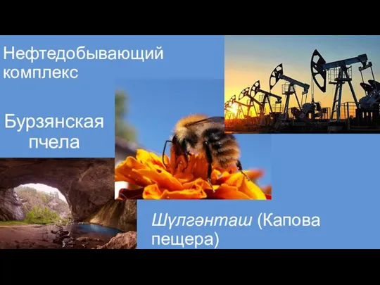 Нефтедобывающий комплекс Бурзянская пчела Шүлгәнташ (Капова пещера)