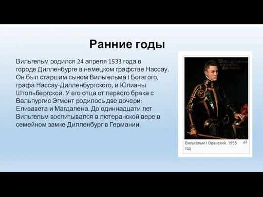 Ранние годы Вильгельм родился 24 апреля 1533 года в городе Дилленбурге в