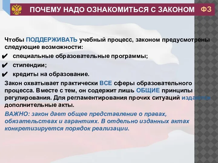 Чтобы ПОДДЕРЖИВАТЬ учебный процесс, законом предусмотрены следующие возможности: специальные образовательные программы; стипендии;