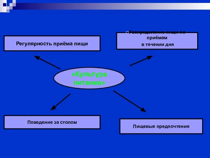 Регулярность приёма пищи Поведение за столом Пищевые предпочтения Распределение пищи по приёмам