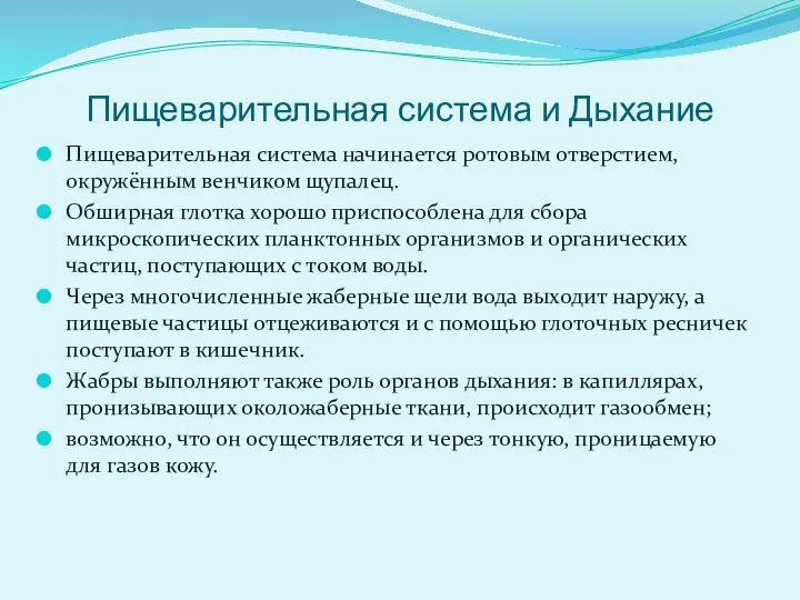 Пищеварительная система и Дыхание Пищеварительная система начинается ротовым отверстием, окружённым венчиком щупалец.