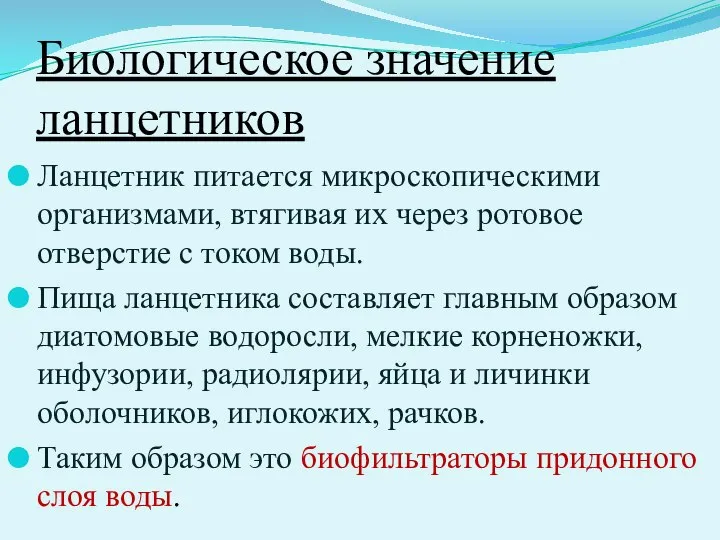 Биологическое значение ланцетников Ланцетник питается микроскопическими организмами, втягивая их через ротовое отверстие