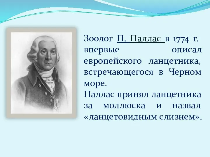 Зоолог П. Паллас в 1774 г. впервые описал европейского ланцетника, встречающегося в