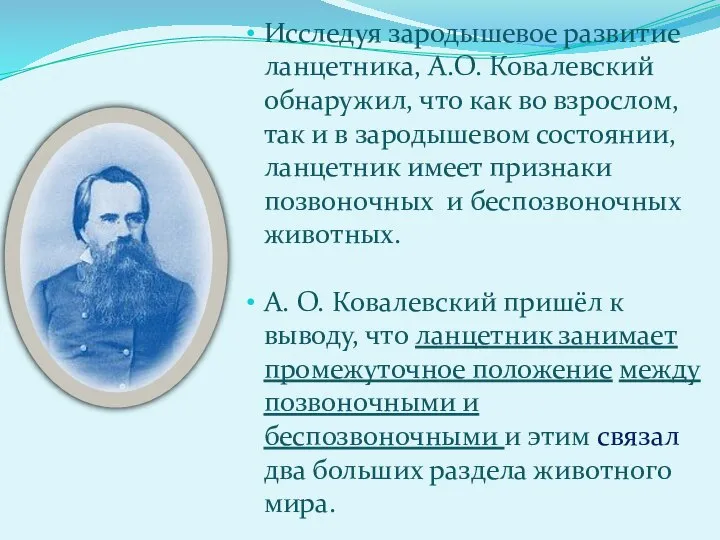 Исследуя зародышевое развитие ланцетника, А.О. Ковалевский обнаружил, что как во взрослом, так