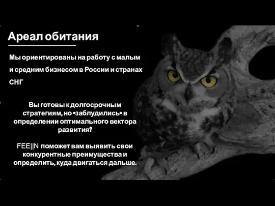 Ареал обитания Мы ориентированы на работу с малым и средним бизнесом в