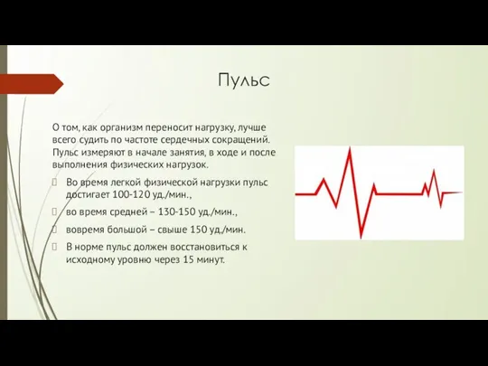 Пульс О том, как организм переносит нагрузку, лучше всего судить по частоте