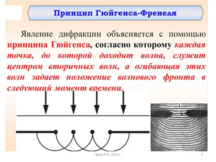 Чуев А.С. 2019 г.