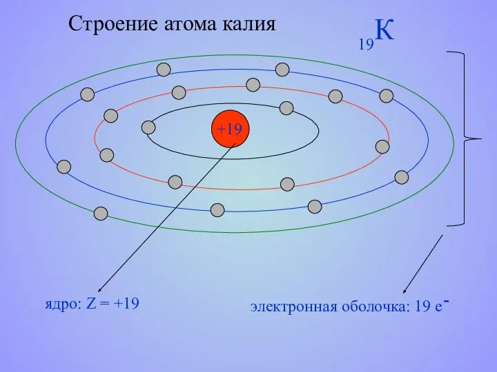 Строение атома калия +19