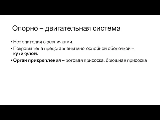 Опорно – двигательная система Нет эпителия с ресничками. Покровы тела представлены многослойной