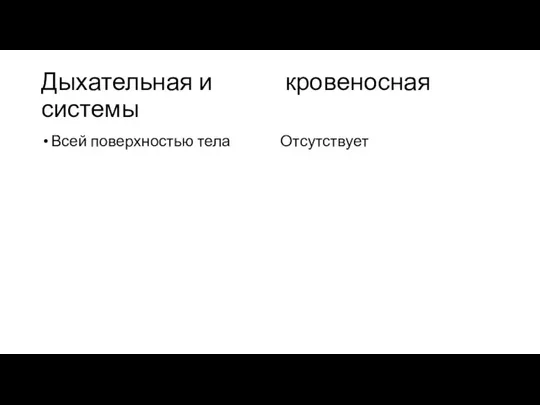 Дыхательная и кровеносная системы Всей поверхностью тела Отсутствует