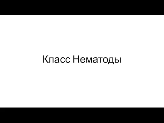 Класс Нематоды