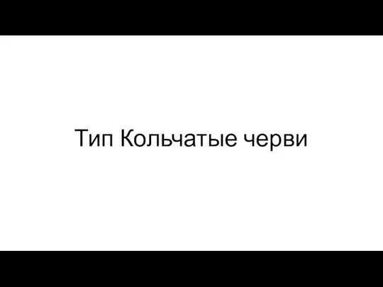 Тип Кольчатые черви