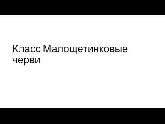 Класс Малощетинковые черви