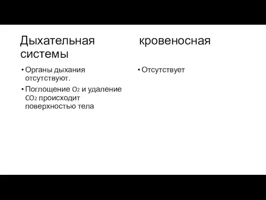 Дыхательная кровеносная системы Органы дыхания отсутствуют. Поглощение O2 и удаление CO2 происходит поверхностью тела Отсутствует