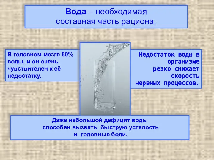 Вода – необходимая составная часть рациона.