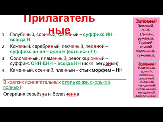 Прилагательные Голубиный, совиный, козлиный – суффикс ИН - всегда Н Кожаный, серебряный,