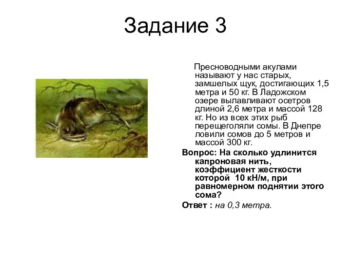 Задание 3 Пресноводными акулами называют у нас старых, замшелых щук, достигающих 1,5