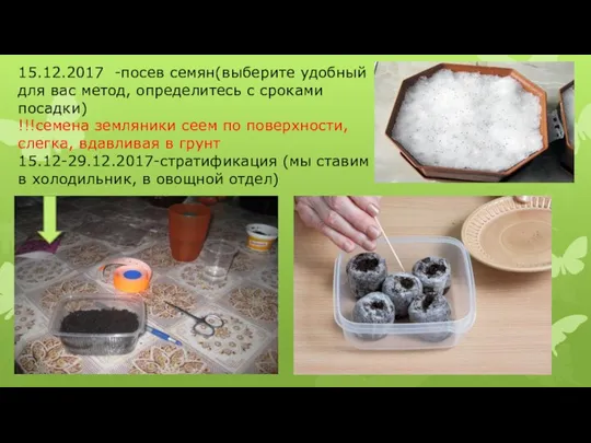 15.12.2017 -посев семян(выберите удобный для вас метод, определитесь с сроками посадки) !!!семена