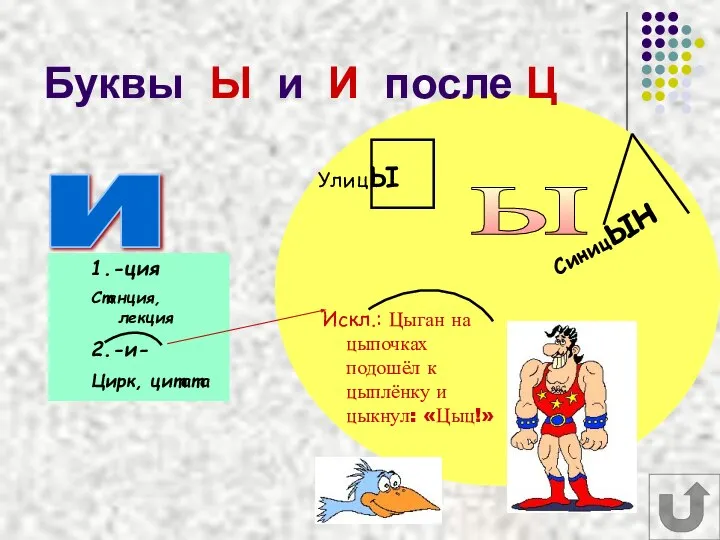 Буквы Ы и И после Ц и ы 1.-ция Станция, лекция 2.-и-