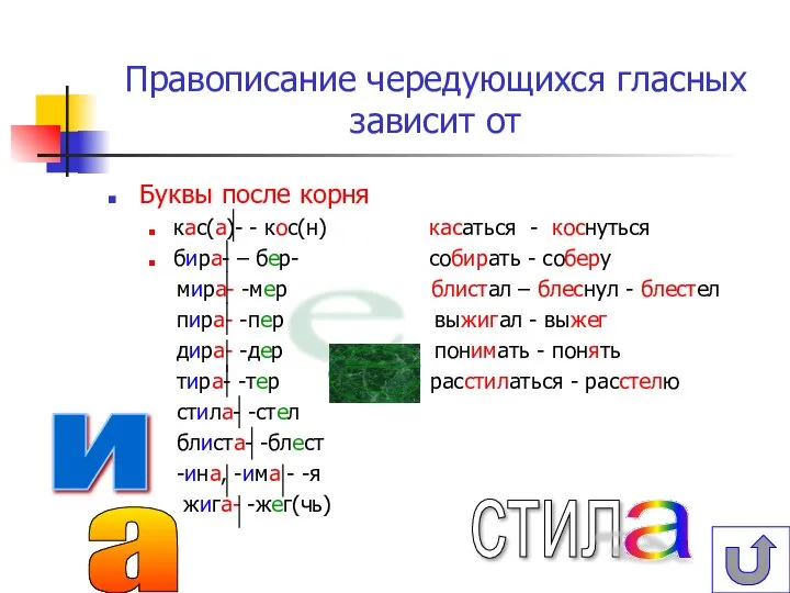 Правописание чередующихся гласных зависит от Буквы после корня кас(а)- - кос(н) касаться