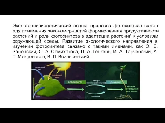 Эколого-физиологический аспект процесса фотосинтеза важен для понимания закономерностей формирования продуктивности растений и