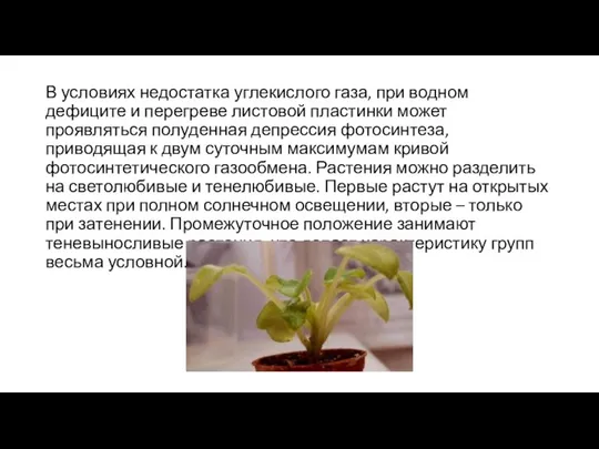 В условиях недостатка углекислого газа, при водном дефиците и перегреве листовой пластинки