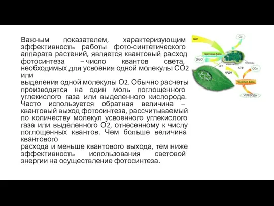 Важным показателем, характеризующим эффективность работы фото-синтетического аппарата растений, является квантовый расход фотосинтеза