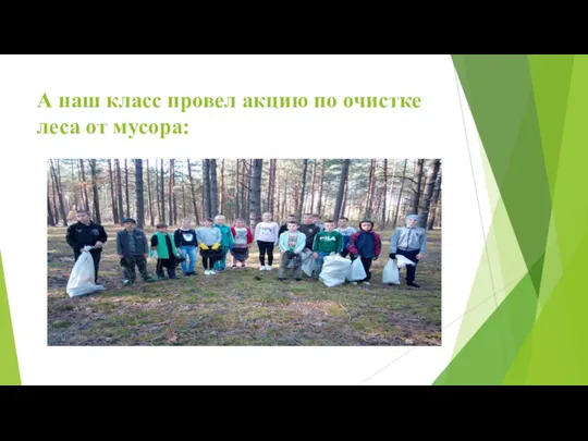 А наш класс провел акцию по очистке леса от мусора: